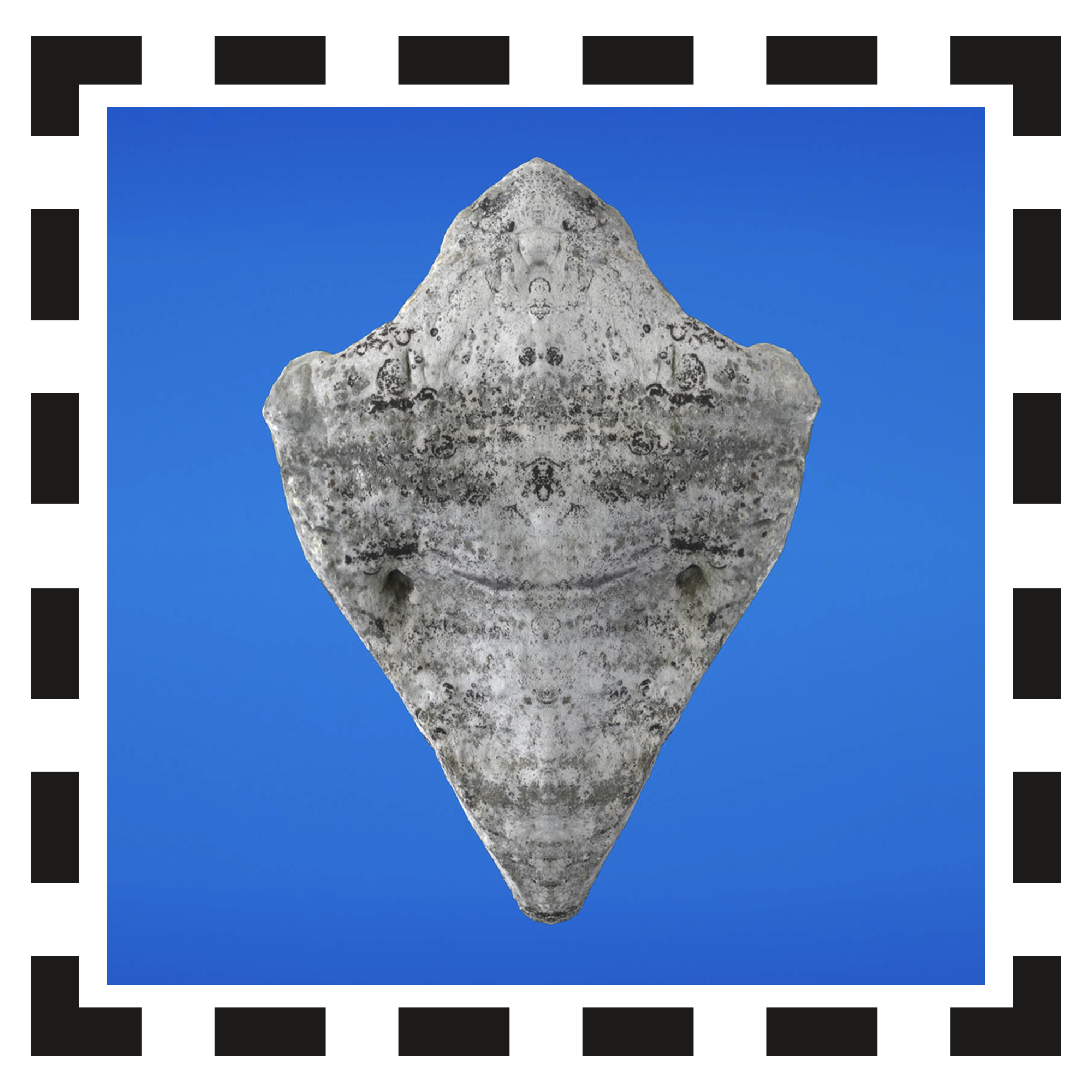 Ancient Landscapes image 3