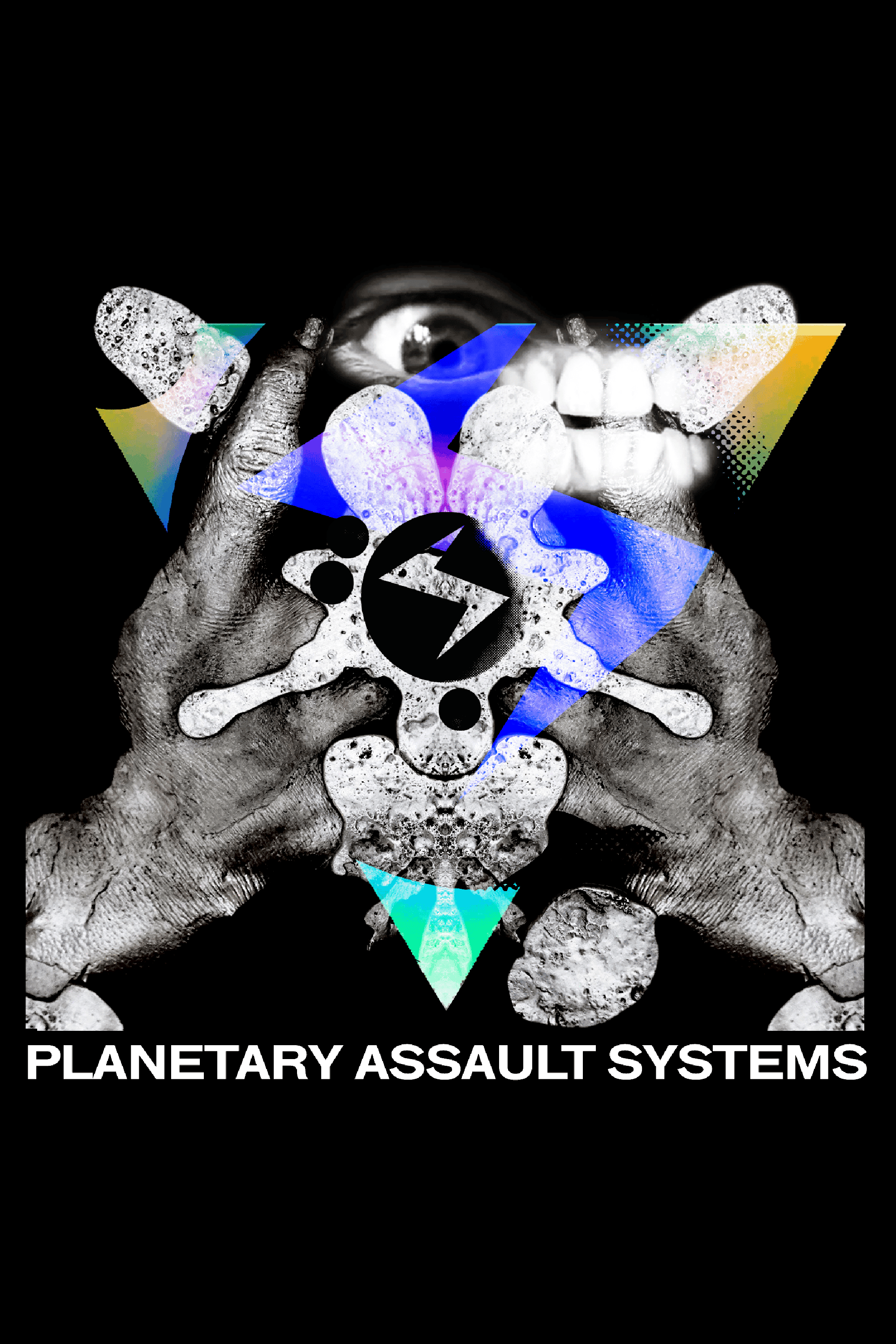 Mote Evolver image 8