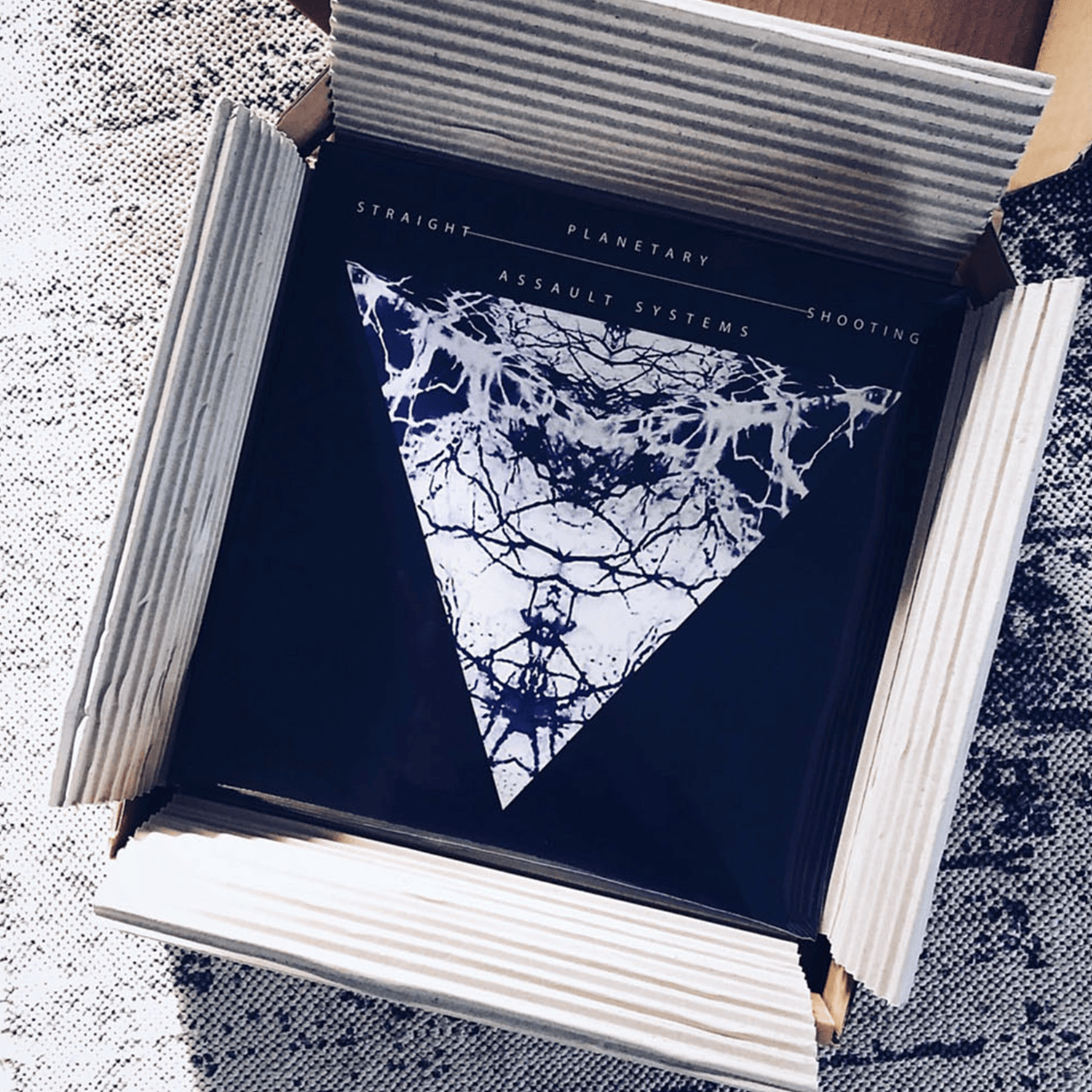 Mote Evolver image 12