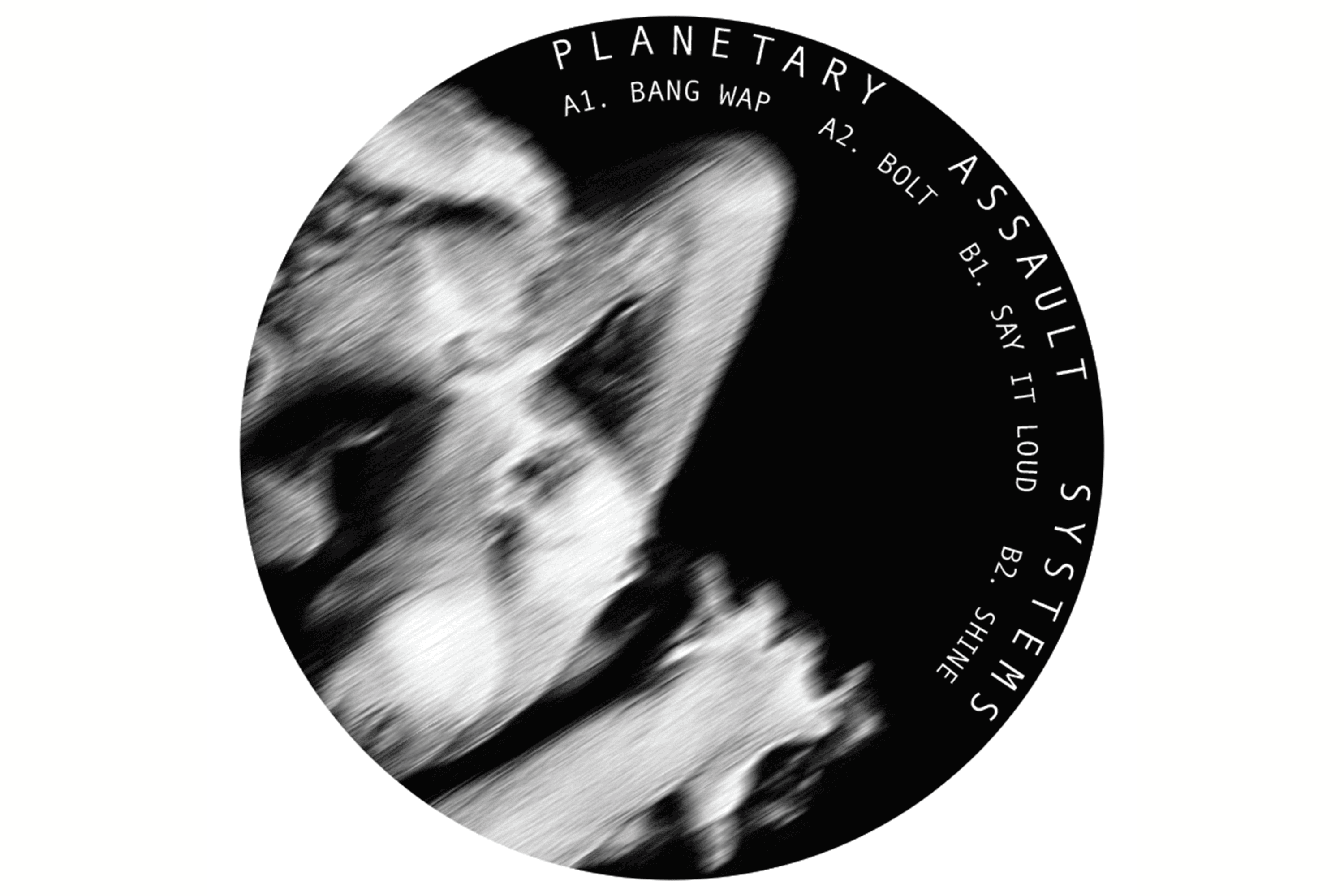 Mote Evolver image 18