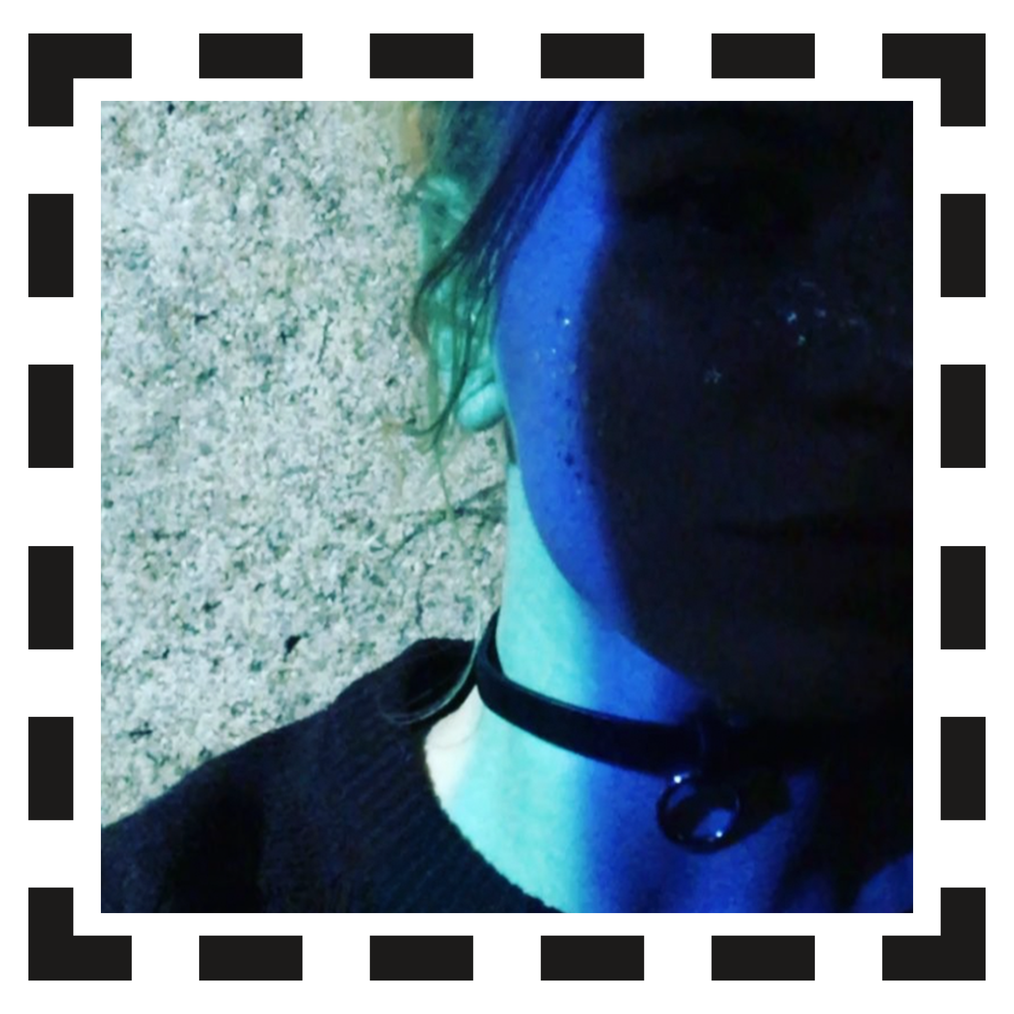 Festival Forte rollover 3